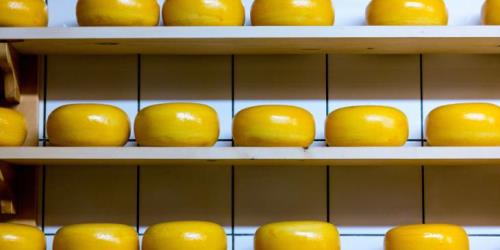 Nieuwste (w)etenswaardigheid: Wat zit er echt in je kaas? Ontdek de praktijken van de kaas producent