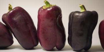 Lees het nieuwsbericht: Darmproblemen: wat helpt naast voeding?