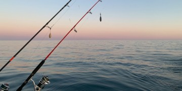 Lees (w)etenswaardigheid