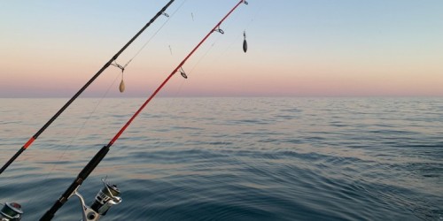 Nieuwste (w)etenswaardigheid: Vissen en lunchen op zee: zo stel je een bijzondere reis naar de VAE samen