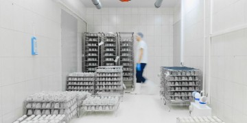 Lees het nieuwsbericht: Waarom de koudeketen bepaalt hoe gezond je eten echt blijft