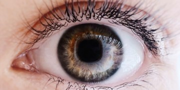Lees het nieuwsbericht: Gezond leven draait om meer dan alleen voeding