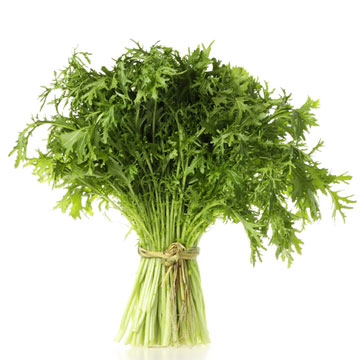 Amsoi