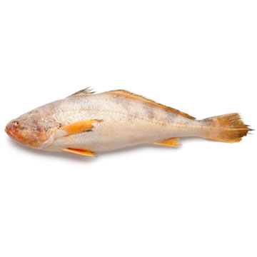 Botervis