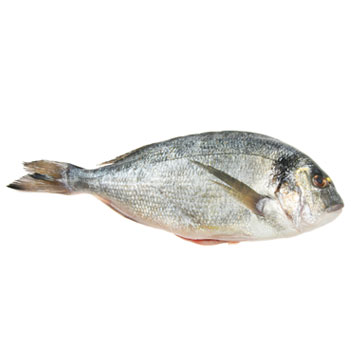 Brasem