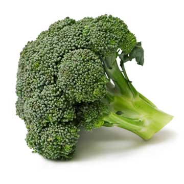 Broccoli