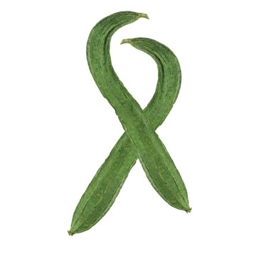 Chinese okra, vers