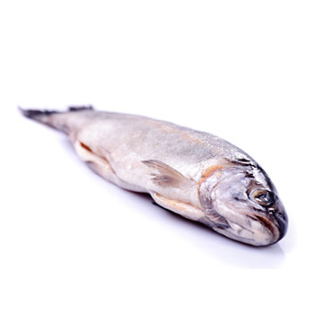 Forel, onbereid
