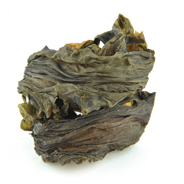 Zeewier, kelp, vers