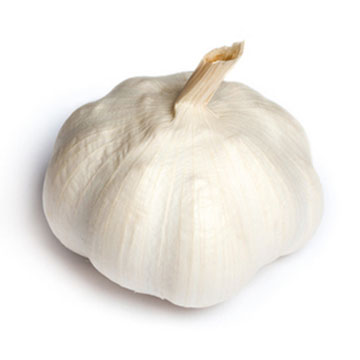 Knoflook, rauw
