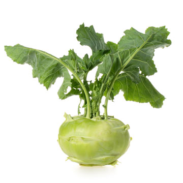Koolrabi