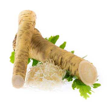 Mierikswortel, Horse-radish