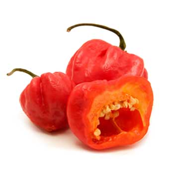 Chilipeper, pimento, vers