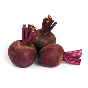 Healthy Living Sources