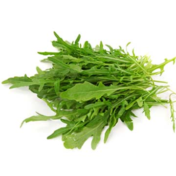 Rucola, sla