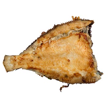 Schar, bereid