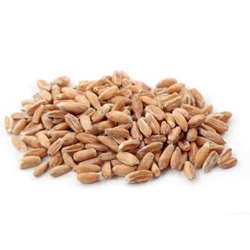 Spelt