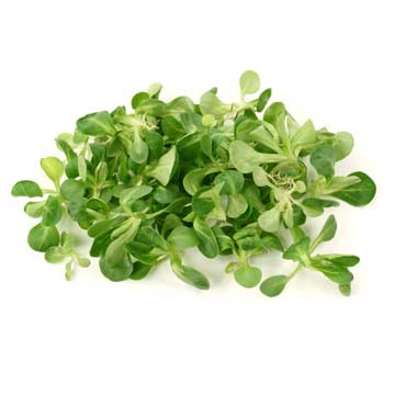 Veldsla