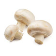 Champignons, vers