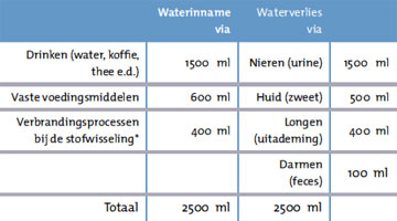 De waterbalans in het menselijk lichaam