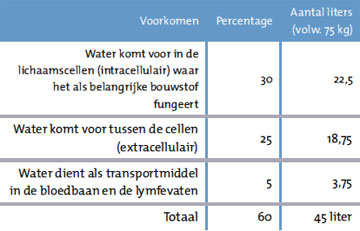 Overzicht voorkomen van water in ons lichaam
